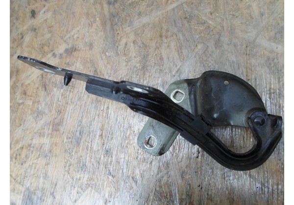 Петля капота права Renault Clio III, 2005-2012, 8200307817 *